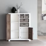 Aimann 2-Door Cabinet