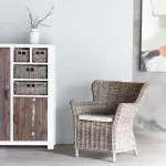 Aimann 2-Door Cabinet