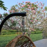 ATC RAHM-002A Bogo Swing Chair