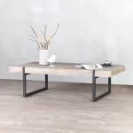 Massive Coffee Table