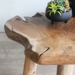 Teak Root Coffee Table