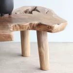 Teak Root Coffee Table