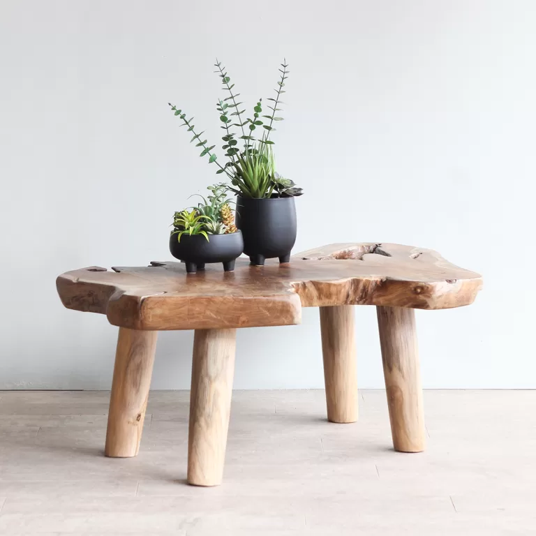 Teak Root Coffee Table