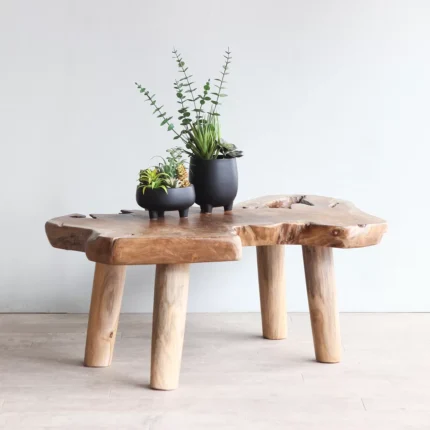 Teak Root Coffee Table