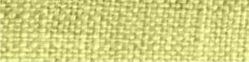 Mustard Color