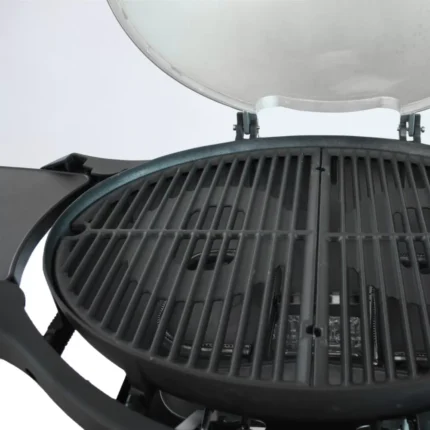 Alva G651 2-Burner Mondo Gas Braai with Cart