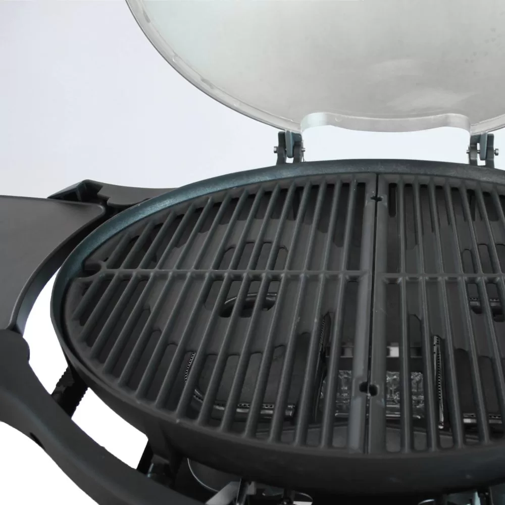 Alva G651 2-Burner Mondo Gas Braai with Cart