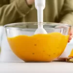 Philips HR2520 ProMix Hand Blender