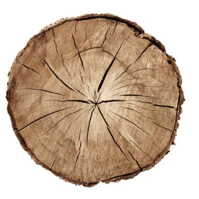 Teak Wood