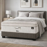 Restonic GreenCoil Lyan Base Set