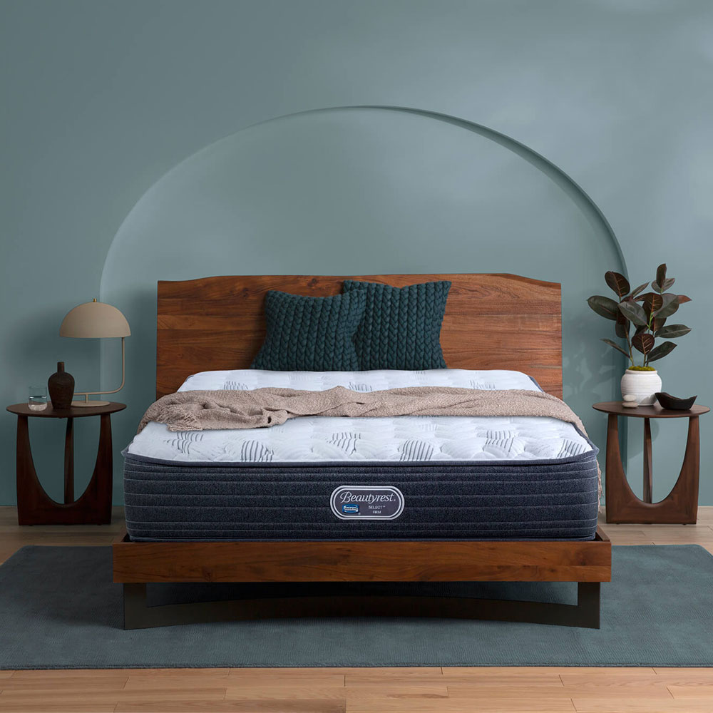 SelectFirm-web Simmons - Beautyrest Firm Base Set - Single - Image 1