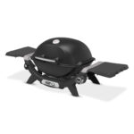 Weber Q1200N